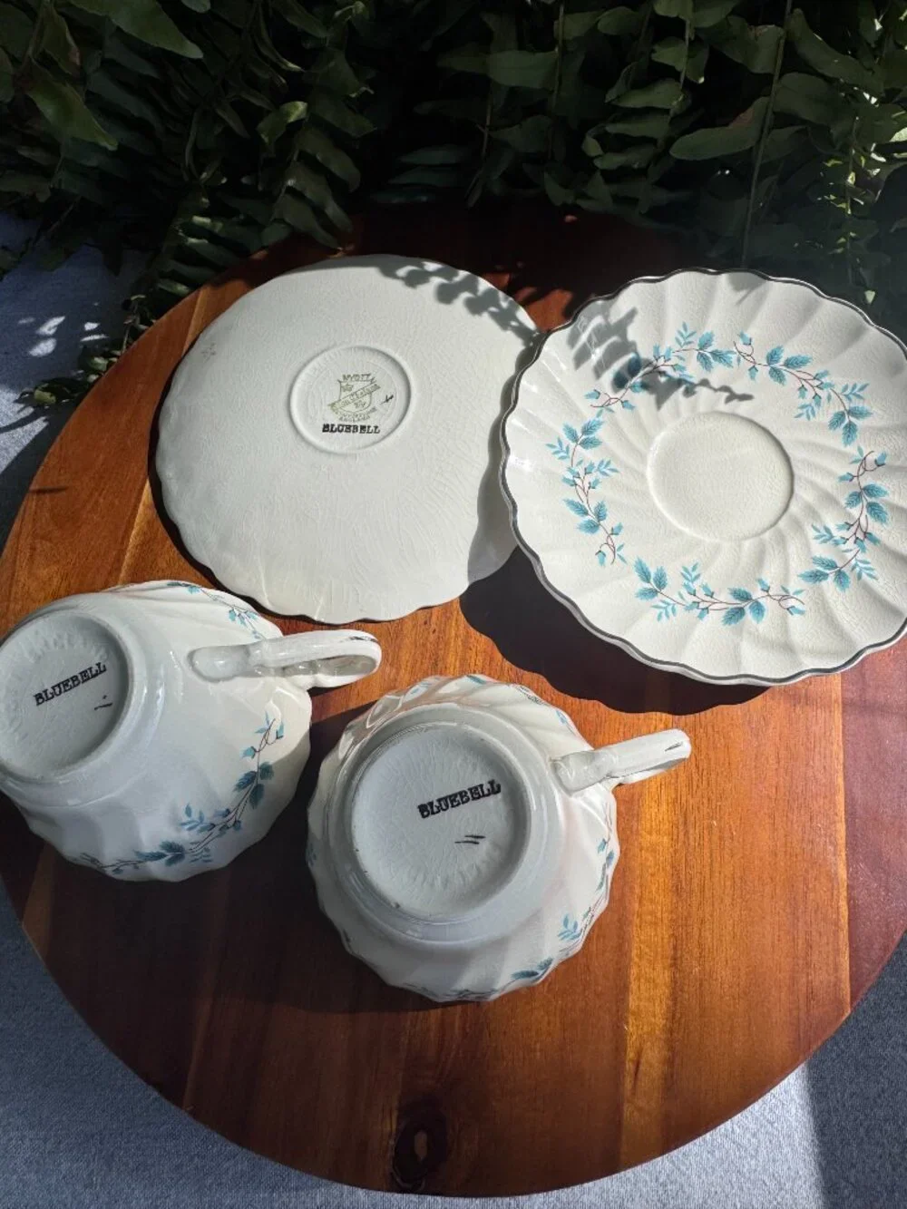 Vintage Myott Bluebell Teacup and Saucer Set by Olde Chelsea Staffordshire